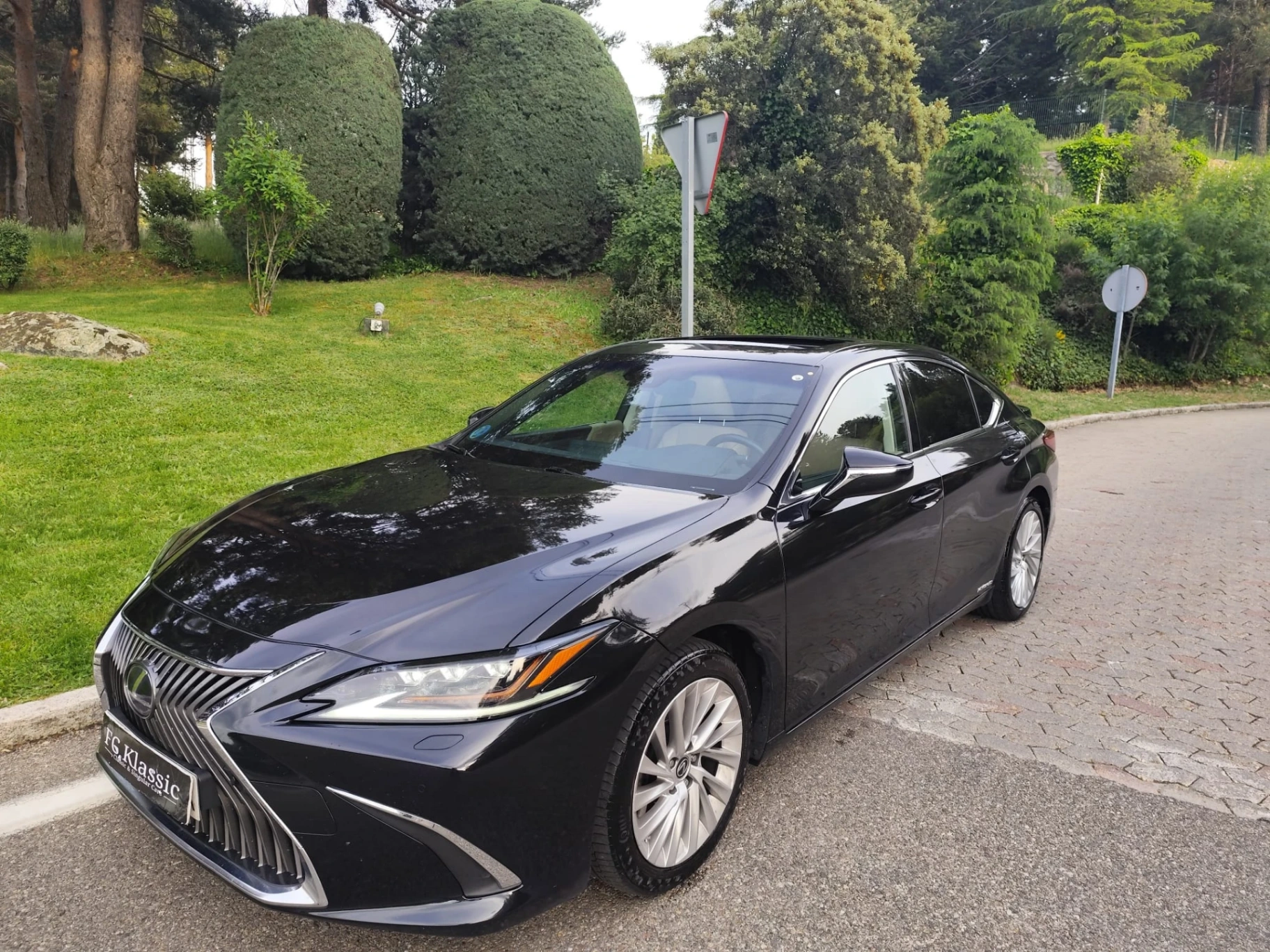Lexus ES  300h Executive
